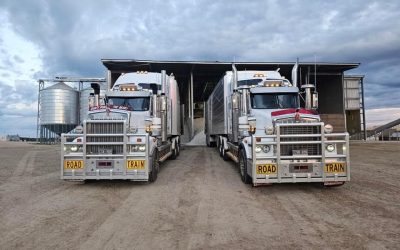 Comspread Bulk Boosts Efficiency with WALKING FLOOR® Systems