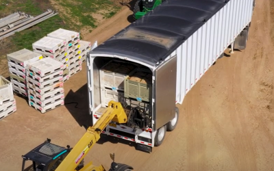 WALKING FLOOR® System Supports Global Carrot Seed Supply