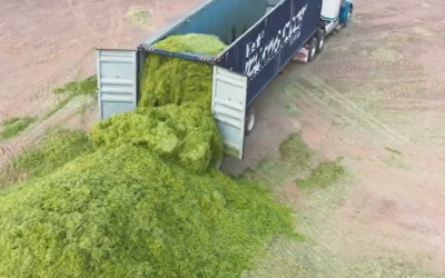 Tough & Versatile: J-MAX® Floor Slats Handle It All